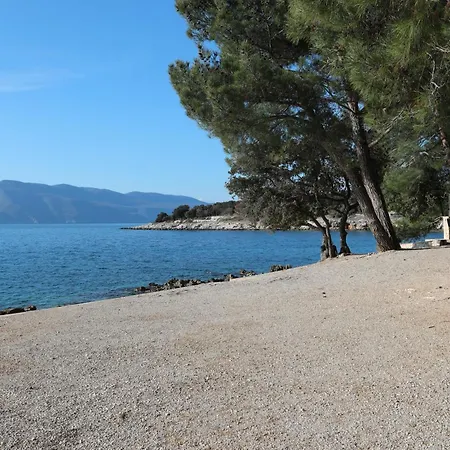Apartament Baroni *